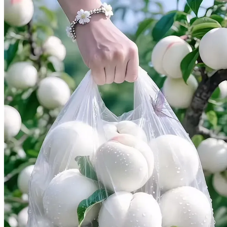 奶油白桃树苗新品种嫁接桃树苗盆栽地载脆甜爽口白蟠桃苗南北方种
