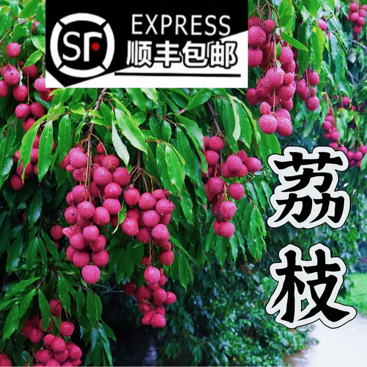 荔枝南通本地荔枝香甜多汁