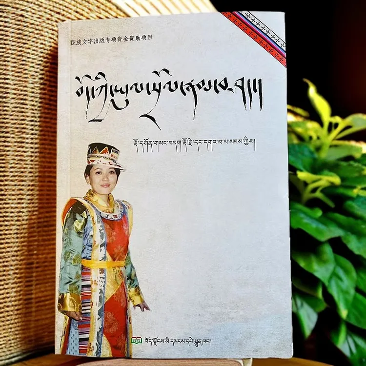 藏族风俗文化史:藏文