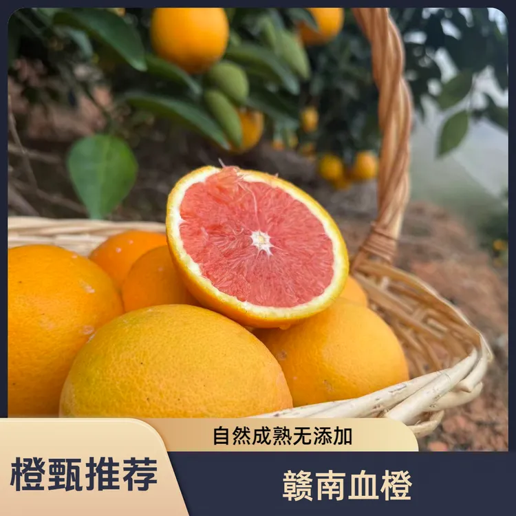 正宗赣南中华血橙新鲜应季水果橙子果肉饱满汁水充足产地源头直发