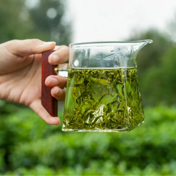 【秋分老秋茶】豌豆香浓郁/高香耐泡/茶豪密布/2025日照绿茶新茶