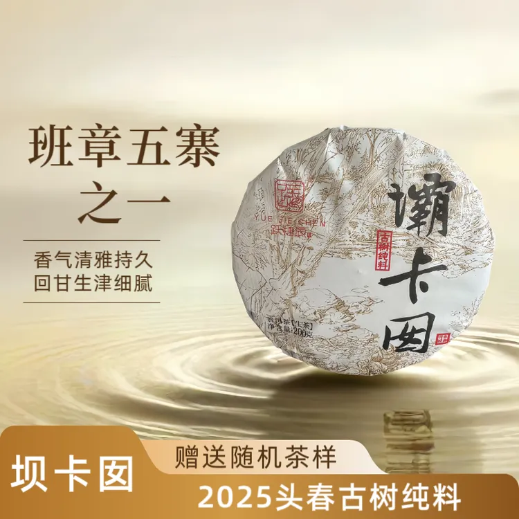 跃捷辰号【假一赔十】2025年头春 坝卡囡纯古树生茶200克（可买茶样）