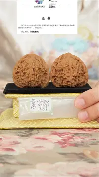 文玩核桃把件原产地南将石