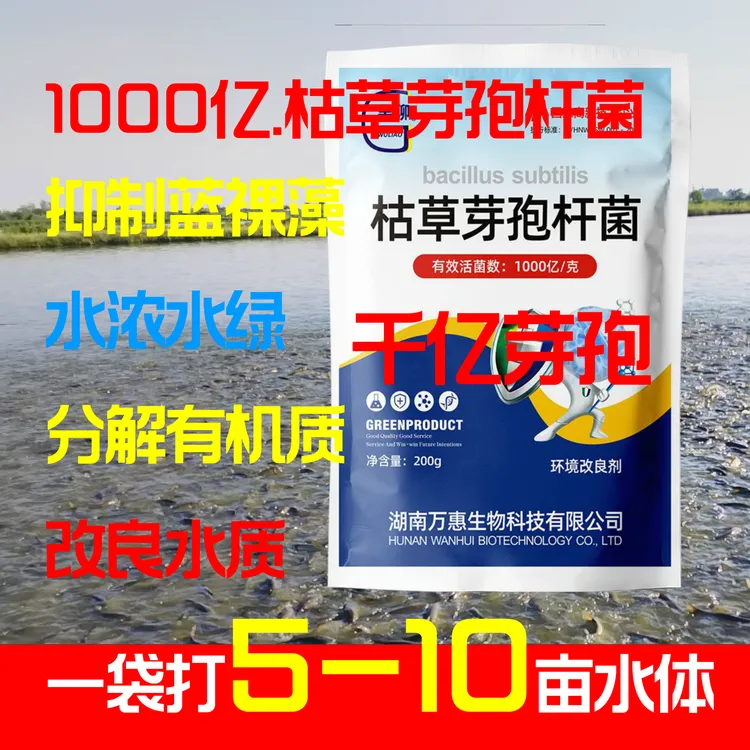1000亿枯草芽孢杆菌分解有机质水浓水绿蓝裸藻水质处理