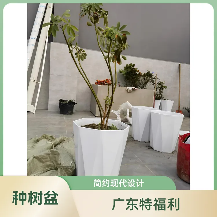 花盆家用大号客厅简约塑料加厚盆栽发财树龙血树天堂鸟大口径花盆