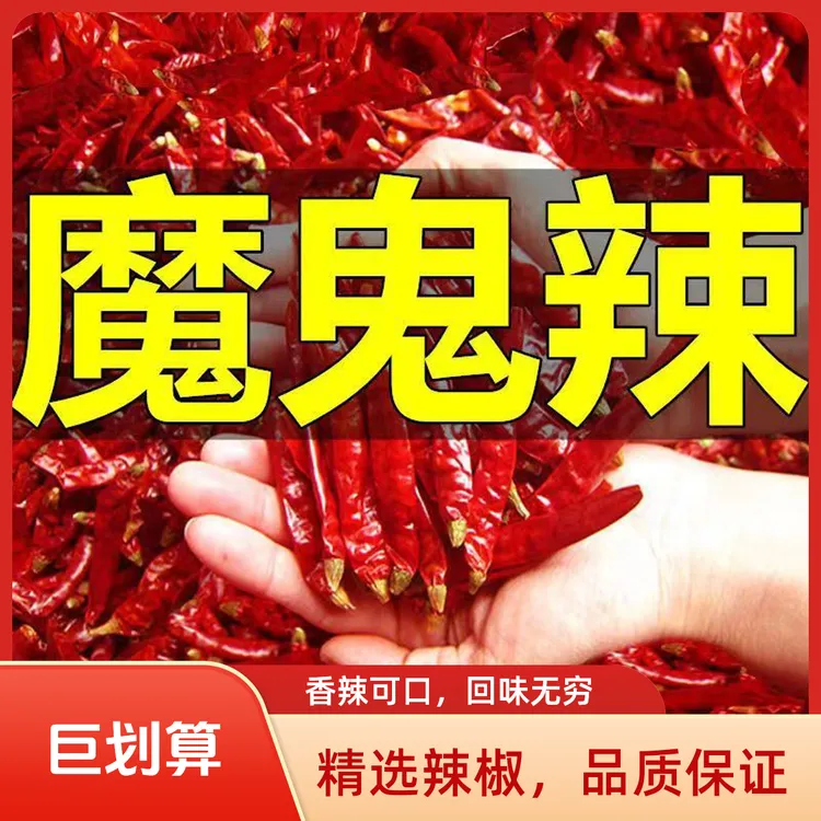 正宗印度魔鬼辣椒