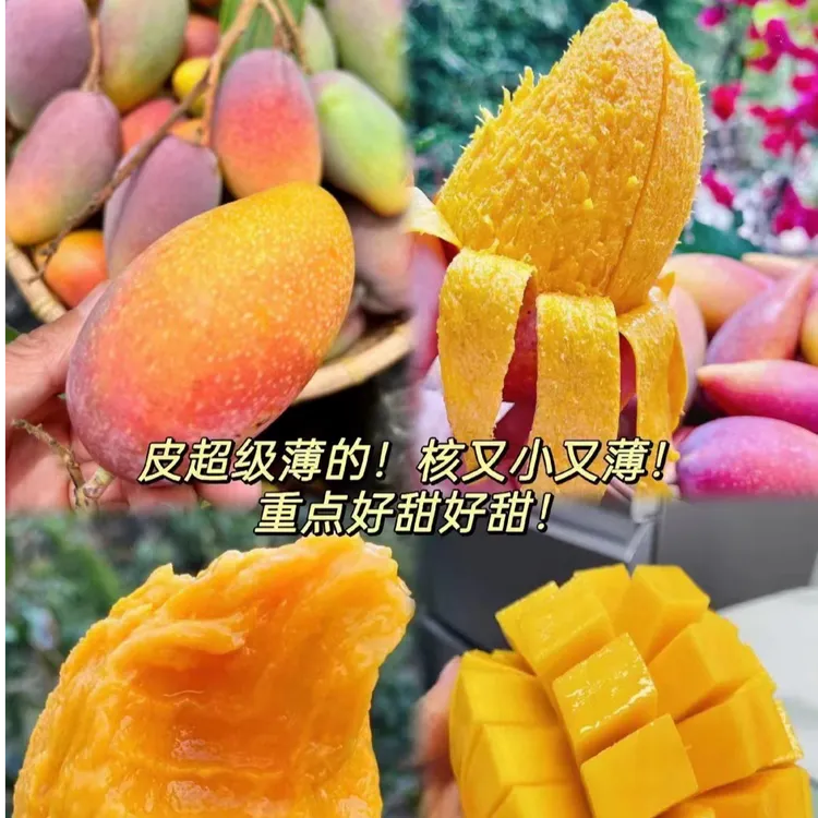 攀枝花七彩小贵妃芒果5斤/8斤新鲜水果农产品汁水丰富香甜可口