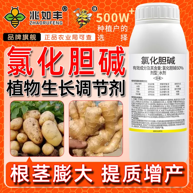 兆如丰氯化胆碱控旺调节提质增产红薯土豆作物通用植物生长调节剂