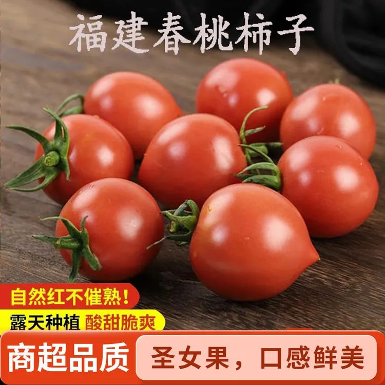 福建草莓春桃小番茄新鲜圣女果碱地应季水果西红柿孕妇自然熟柿子
