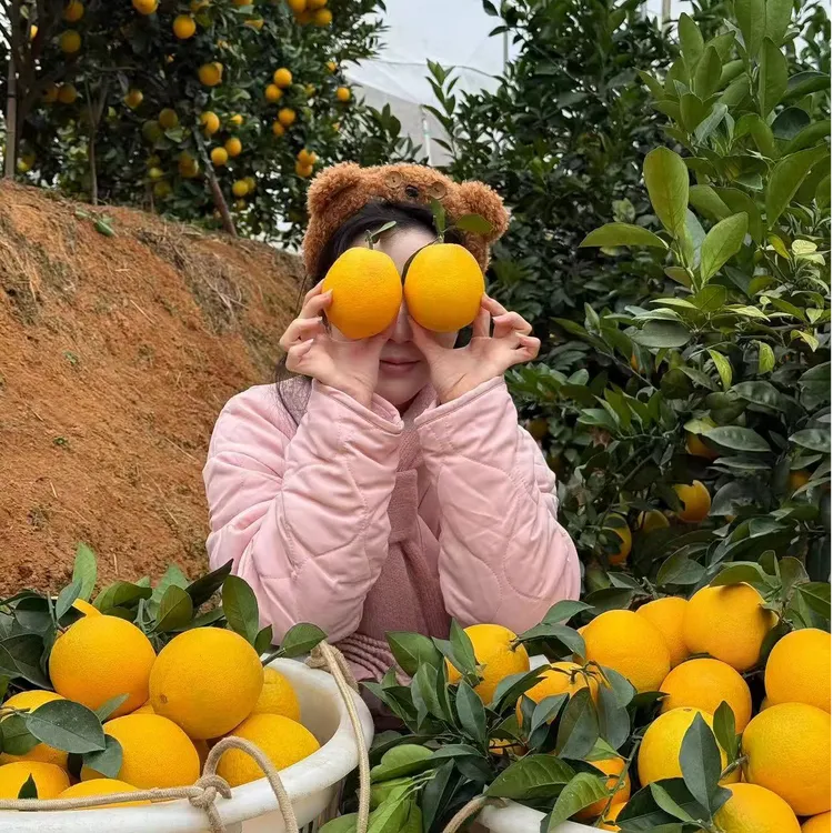 【三岁雪宝专属】正宗赣南脐橙新鲜现摘赣州橙子整箱5/10斤产地直发