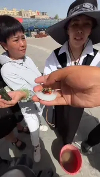 未镶嵌和田玉（糖玉）挂件和田玉