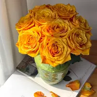 【云舍花卉】【埃及艳后】单头玫瑰 全场任意满两单及以上鲜花包邮
