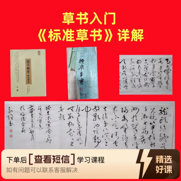 草书入门：《标准草书》详解知识服务读书卡
