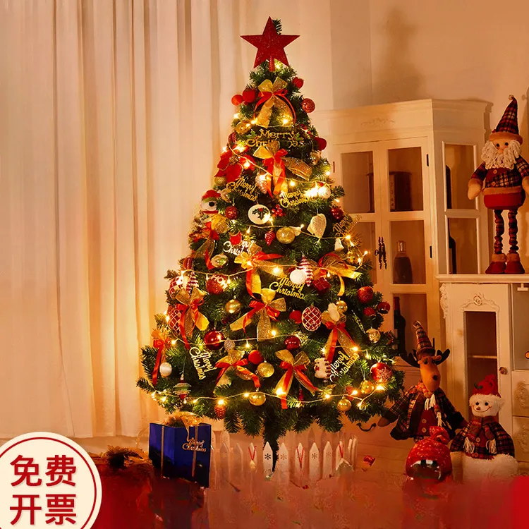 2025圣诞树家用套餐加密diy发光大型摆件新款高级感ins圣诞节装饰