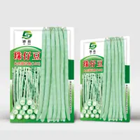 珠仔豆种子102豆角种子小包装