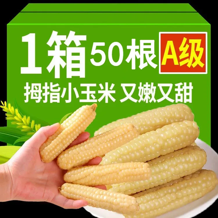 西双版纳拇指玉米手指小玉米香糯宝宝玉米新鲜白糯小玉米非转基因