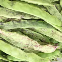 大马掌豆角5斤包邮