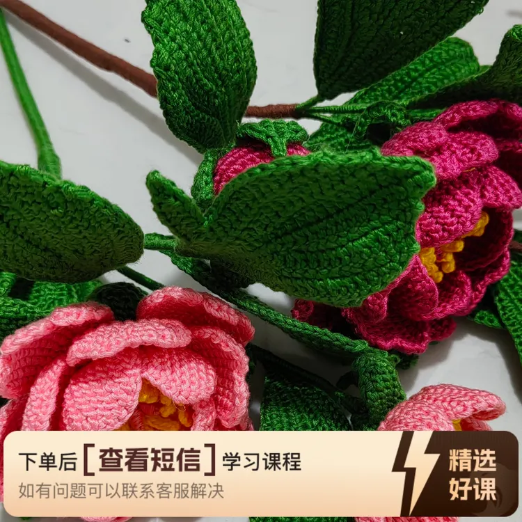 雨蝶原创精品小盆栽视频教程（留意短信解锁课程）