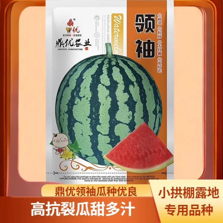 鼎优领袖 高抗裂麒麟瓜种子高纯版大红瓤脆甜多汁