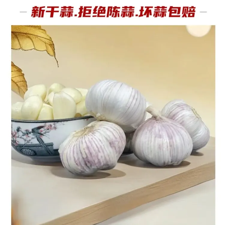 【2025新干蒜】金乡净蒜农家自种紫白皮干大蒜自然晾晒辛辣头大蒜