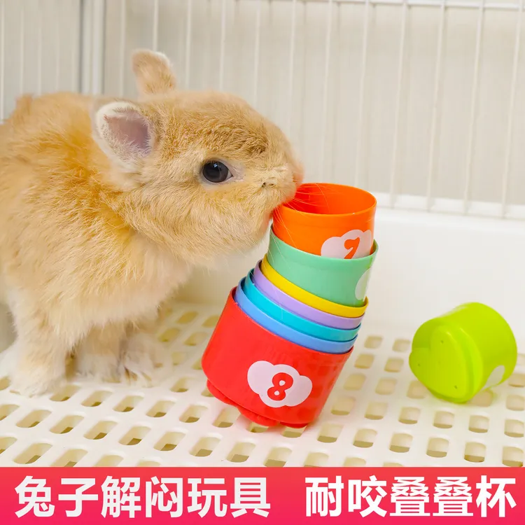 兔子解闷玩具兔子叠叠杯解闷发泄情绪耐啃咬龙猫荷兰猪益智型玩具