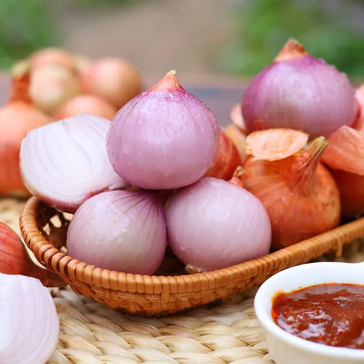 包邮紫皮洋葱新鲜紫皮红皮元葱5斤现挖圆洋葱头小红葱