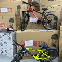 自行车孤品 随机发货