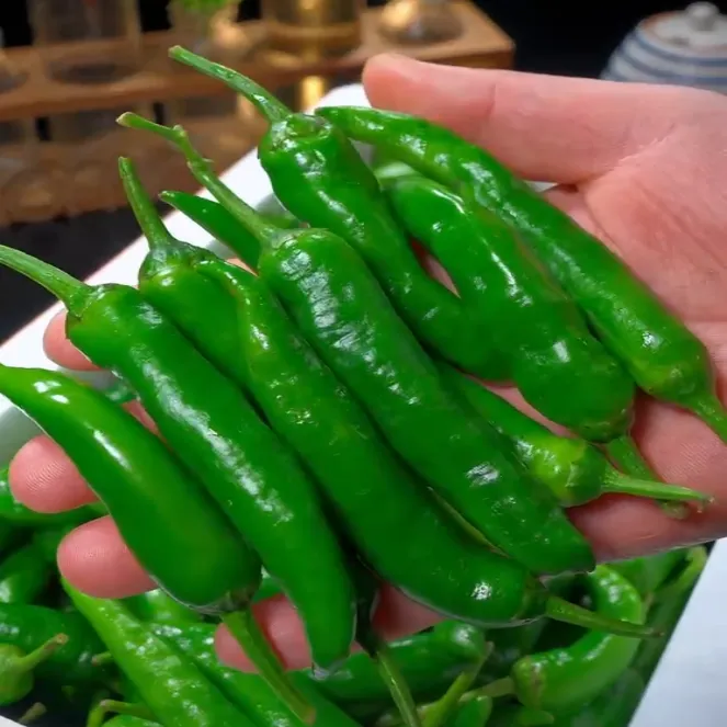 樟树小辣椒正宗新鲜富晒湖南品种小青椒微辣嫩青椒薄皮