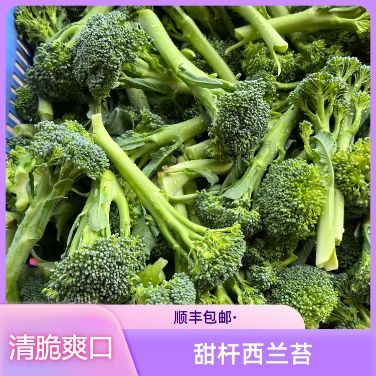 农泽情顺丰发货宁夏甜杆西兰苔净重3斤单株约0.7两约30-40株