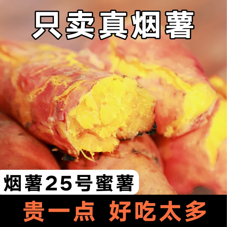 正宗沙地烟薯25 现挖现发