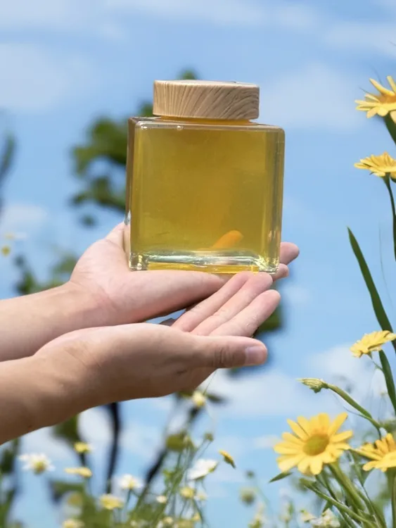 【假一赔十】东北椴树蜜正宗农家深山养殖健康冲泡饮品营养500g/瓶