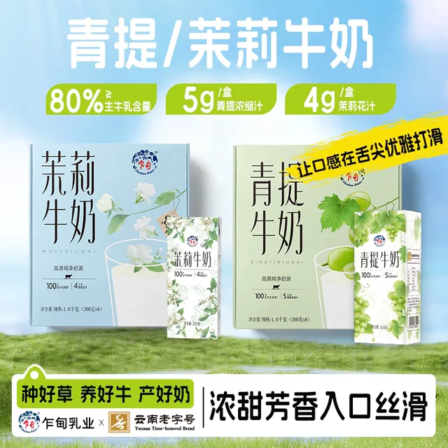 乍甸青提茉莉花香味甜牛奶200g*8盒礼盒装含乳饮料儿童早餐奶盒装