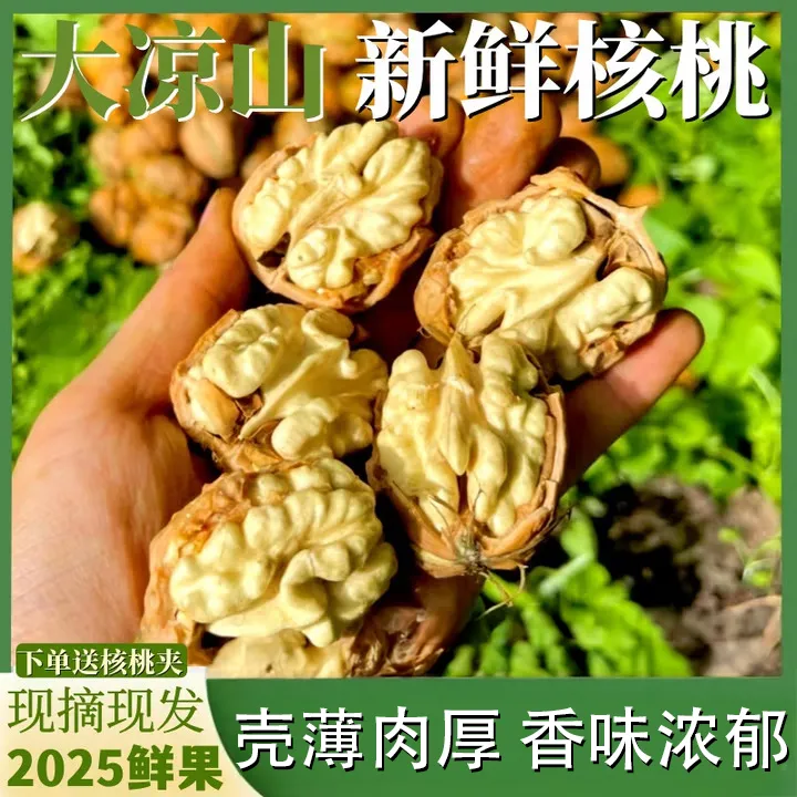 去青皮湿核桃云南大凉山新鲜薄皮特级核桃2025新货现摘现发嫩核桃
