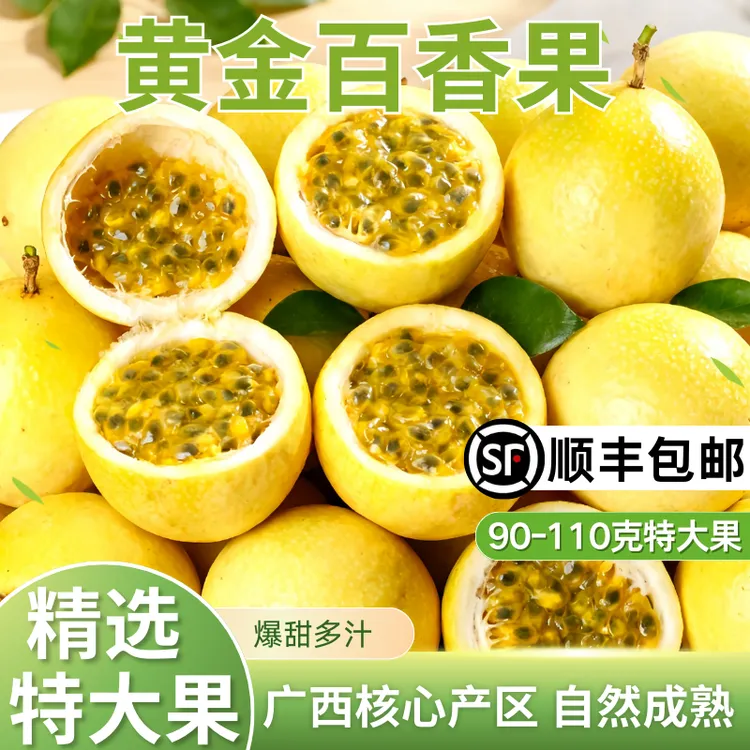 【90到110克精品大果】钦果9号黄金百香果广西钦蜜9号黄金百香果