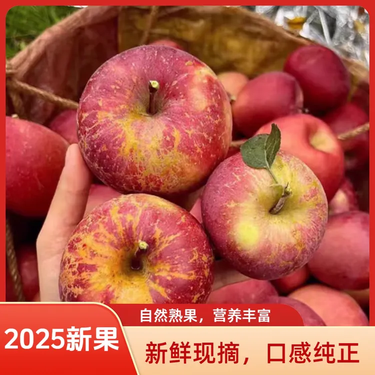 正宗四川大凉山盐源糖心丑苹果现采现发脆甜新鲜无蜡孕妇小孩