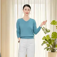 2025新款秋冬季v领女薄款针织套头小众宽松打底衫短款纯色
