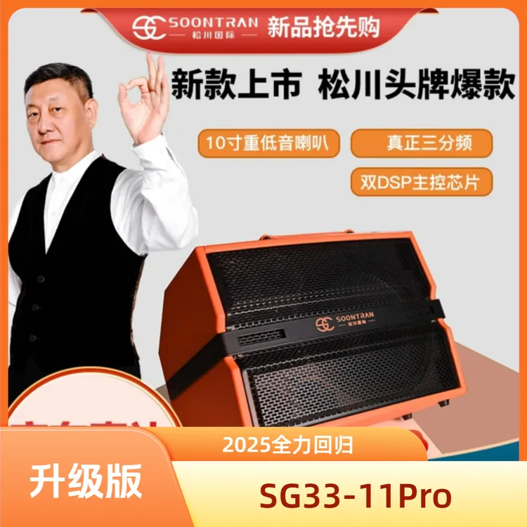 松川国际SG33-11Pro双话筒专业户外大功率 蓝牙 直播 露营K歌音响