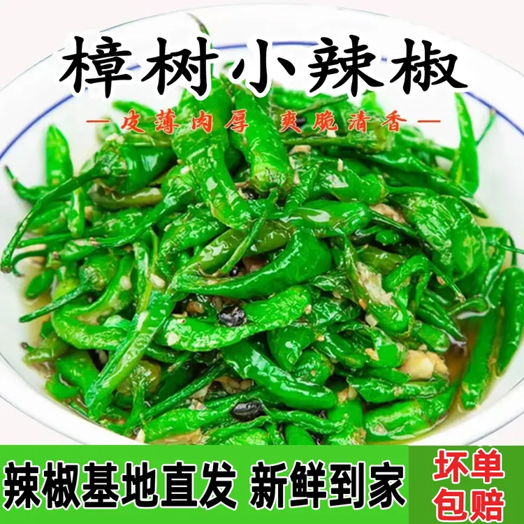 【樟树小辣椒】微辣中辣湖南辣椒现摘现发新鲜清香薄皮嫩辣椒