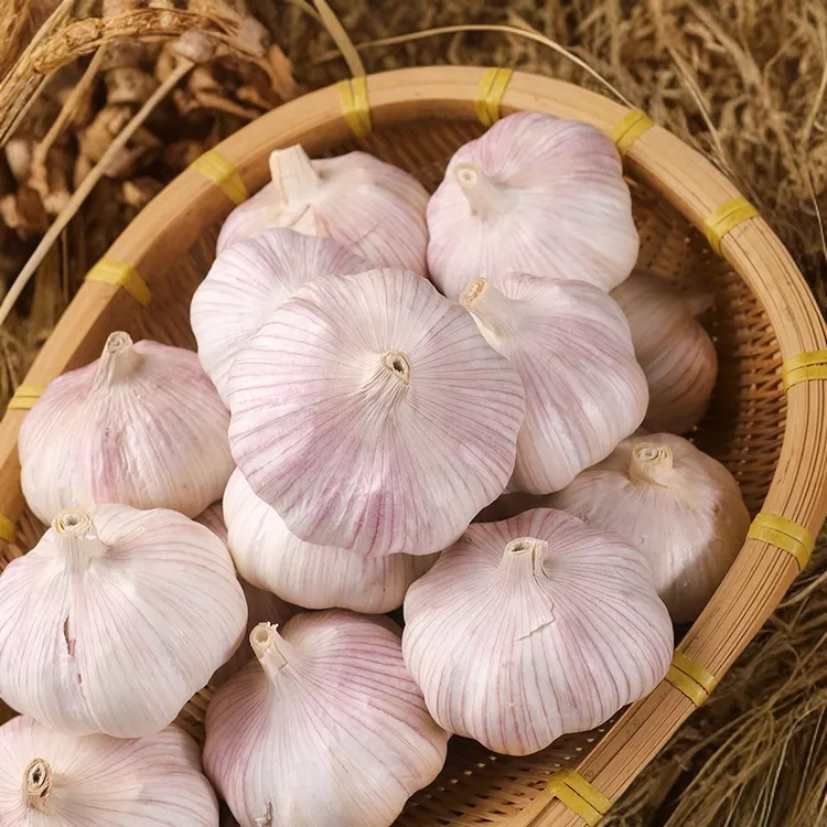 5斤新干蒜农家自种超大果大蒜头紫白皮高干度坏果包赔0.4斤起包邮