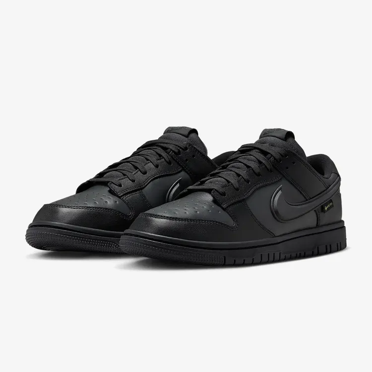 NIKE/耐克DUNK男鞋NEXT DunkGore-TexGTX 低帮板鞋舒适HQ2053-001