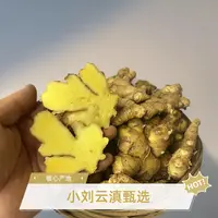 小刘云滇甄选-文山小黄姜（嫩）