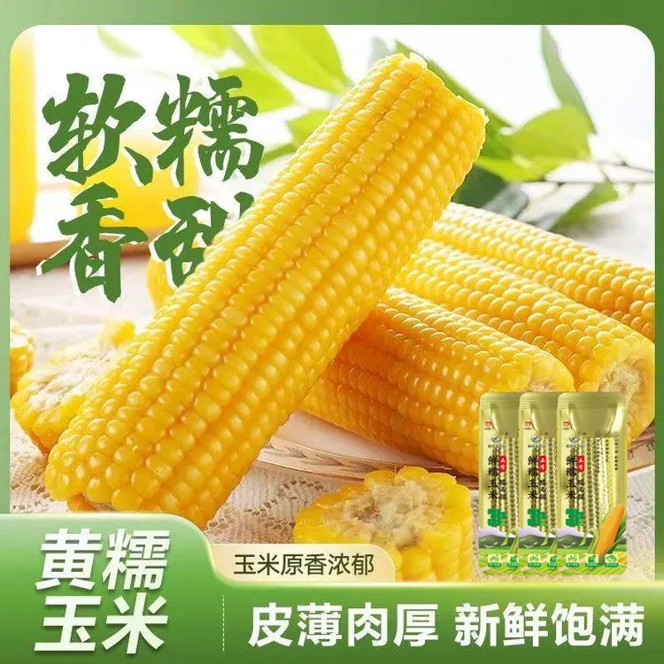 【试吃2根】25年头茬东北黄糯玉米260g-350g*10根香甜软糯金铝箔