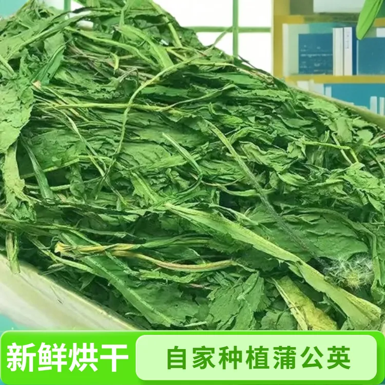 25年烘干蒲公英干草叶子宠物兔子龙猫荷兰猪豚鼠牧草磨牙草粮饲料