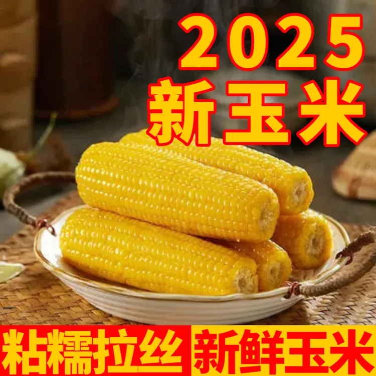 【不好吃包退】2025新鲜东北黄糯玉米粘糯鲜香270g起黑龙江美食粗粮