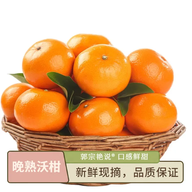 【坏果包赔】云南高山大理晚熟沃柑当季新鲜维生素C丰富时令水果甜