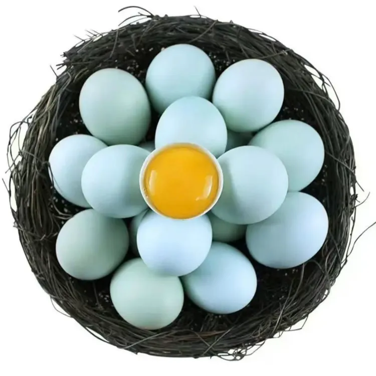 乌鸡蛋 湖北广水农家散养五黑鸡绿壳乌鸡蛋