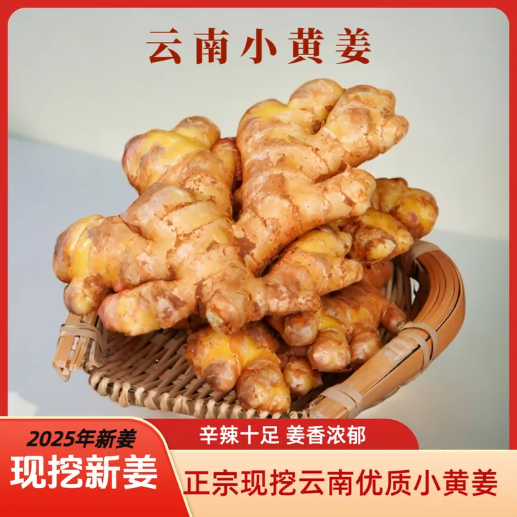 【忠明哥】云南黄姜高山新鲜小黄姜当季现挖新姜香味浓郁辛辣十足调味佳品