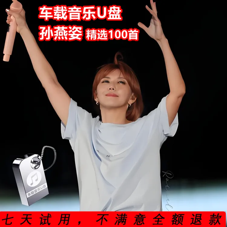 孙燕姿歌曲u盘专辑经典老歌情歌遇见汽车载无损高音质mp3音乐优盘