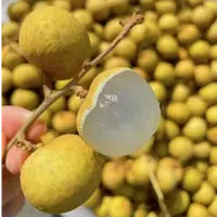 泰国金标特级龙眼果肉饱满紧实晶莹剔透汁水丰富