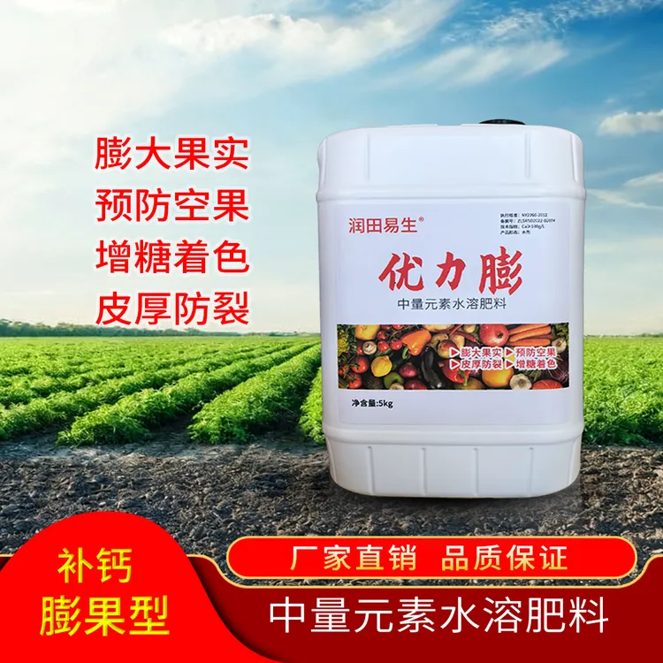 【主打膨果】优力膨、果大、皮厚、耐储存